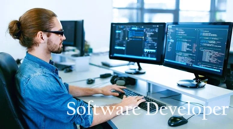 Software Developer
