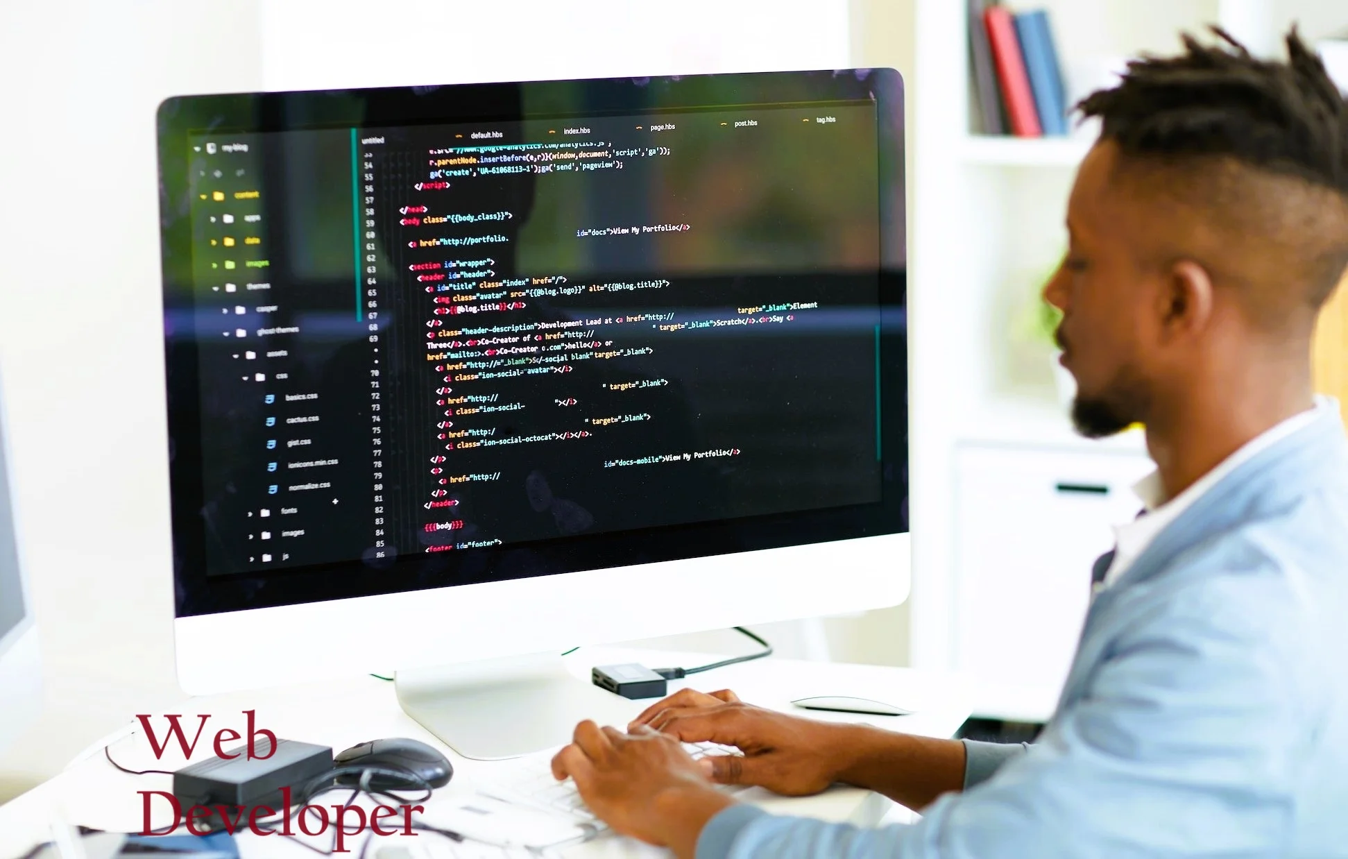 Web Developer